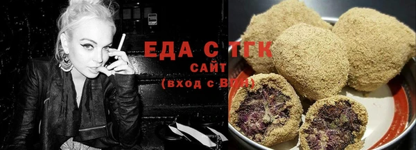тгк Абаза