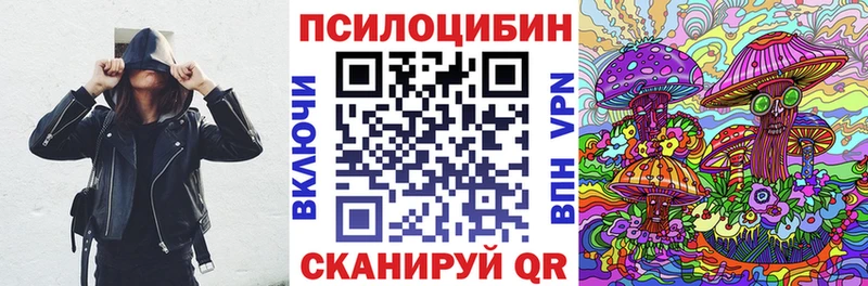 Галлюциногенные грибы Psilocybine cubensis  купить   Мостовской 